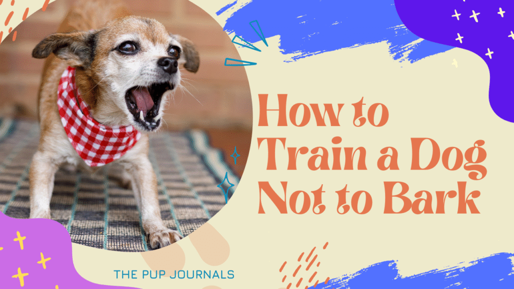 How to Train a Dog Not to Bark in 7 Simple Steps