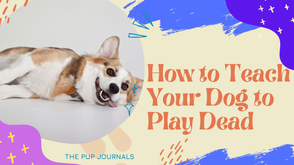 How to Teach Your Dog to Play Dead