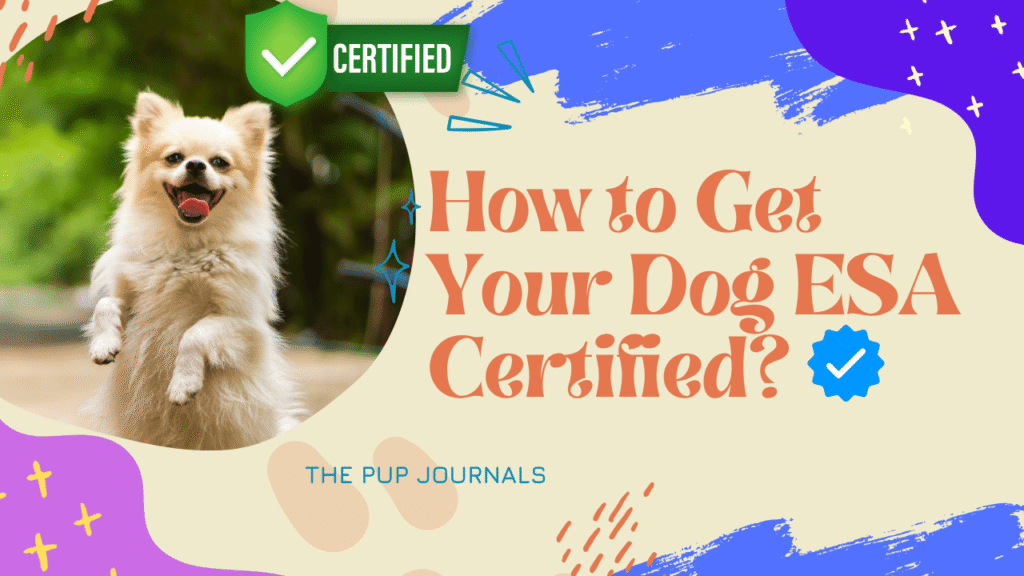 Get Your Dog ESA Certified