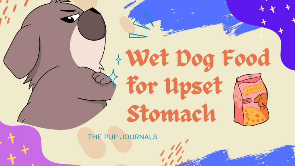 Wet Dog Food for Upset Stomach