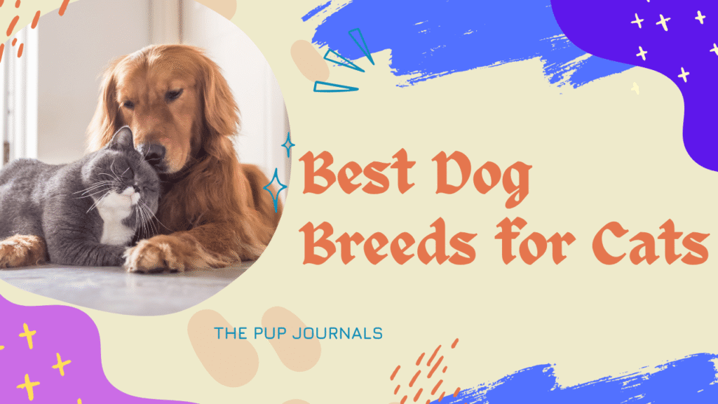 Best Dog Breeds for Cats
