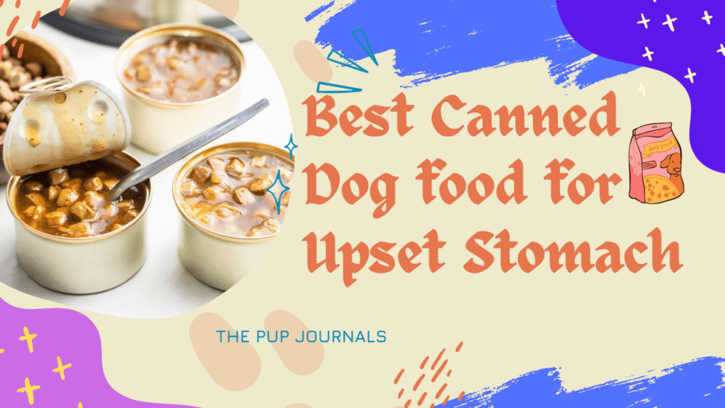 Best Canned Dog food for Upset Stomach