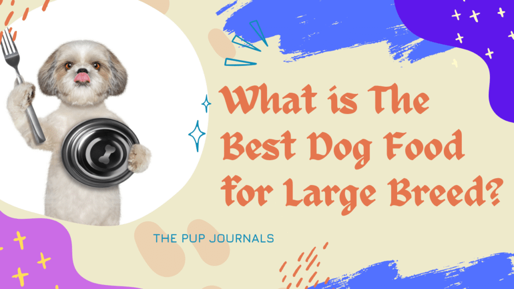 What is The Best Dog Food for Large Breed?