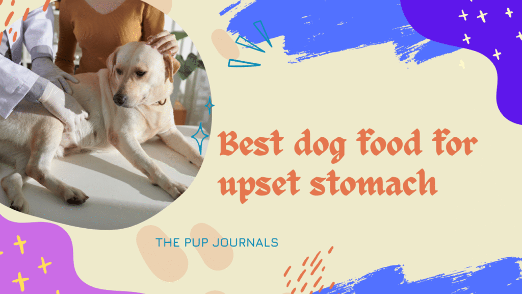 Best dog food for upset stomach