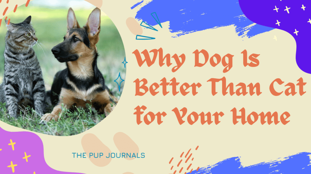 Why Dog Is Better Than Cat for Your Home