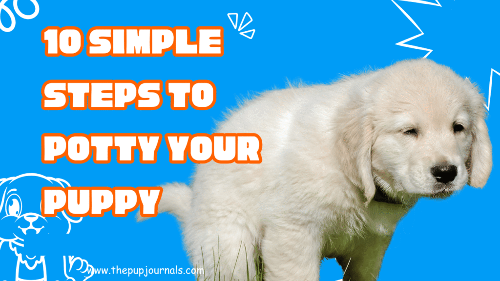 10 Simple Steps to Potty Your Puppy: A Complete Guide