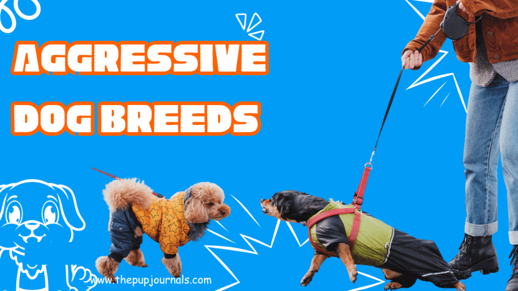 Aggressive Dog Breeds