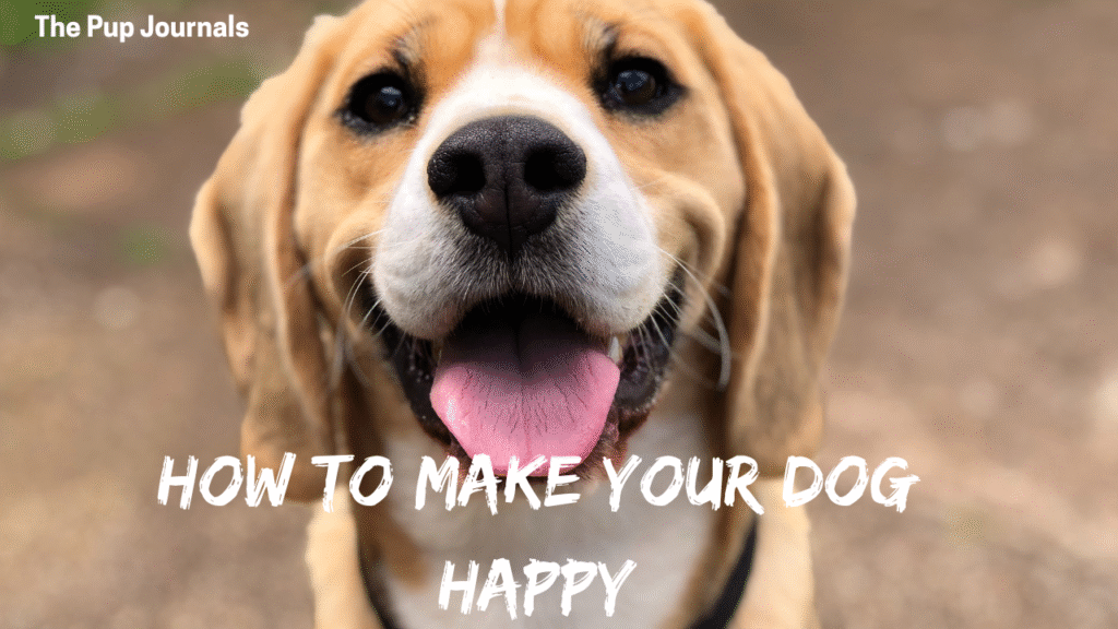 how to make your dog happy