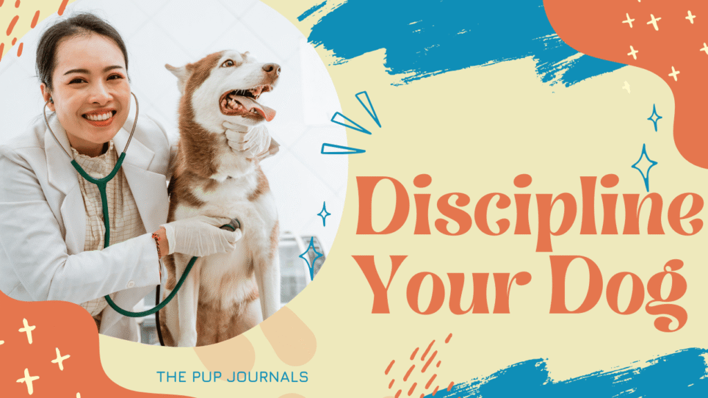 Discipline Your Dog