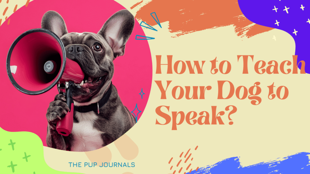 How to Teach Your Dog to Speak