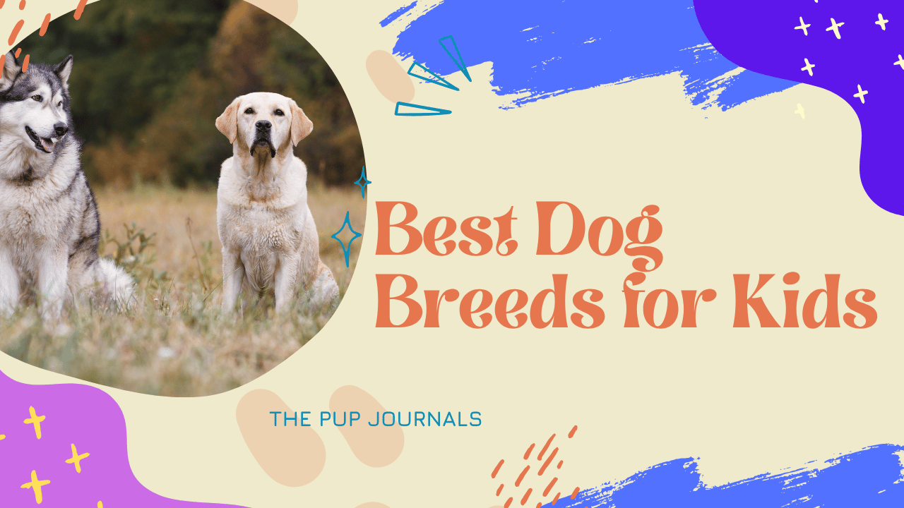 Best Dog Breeds for Kids