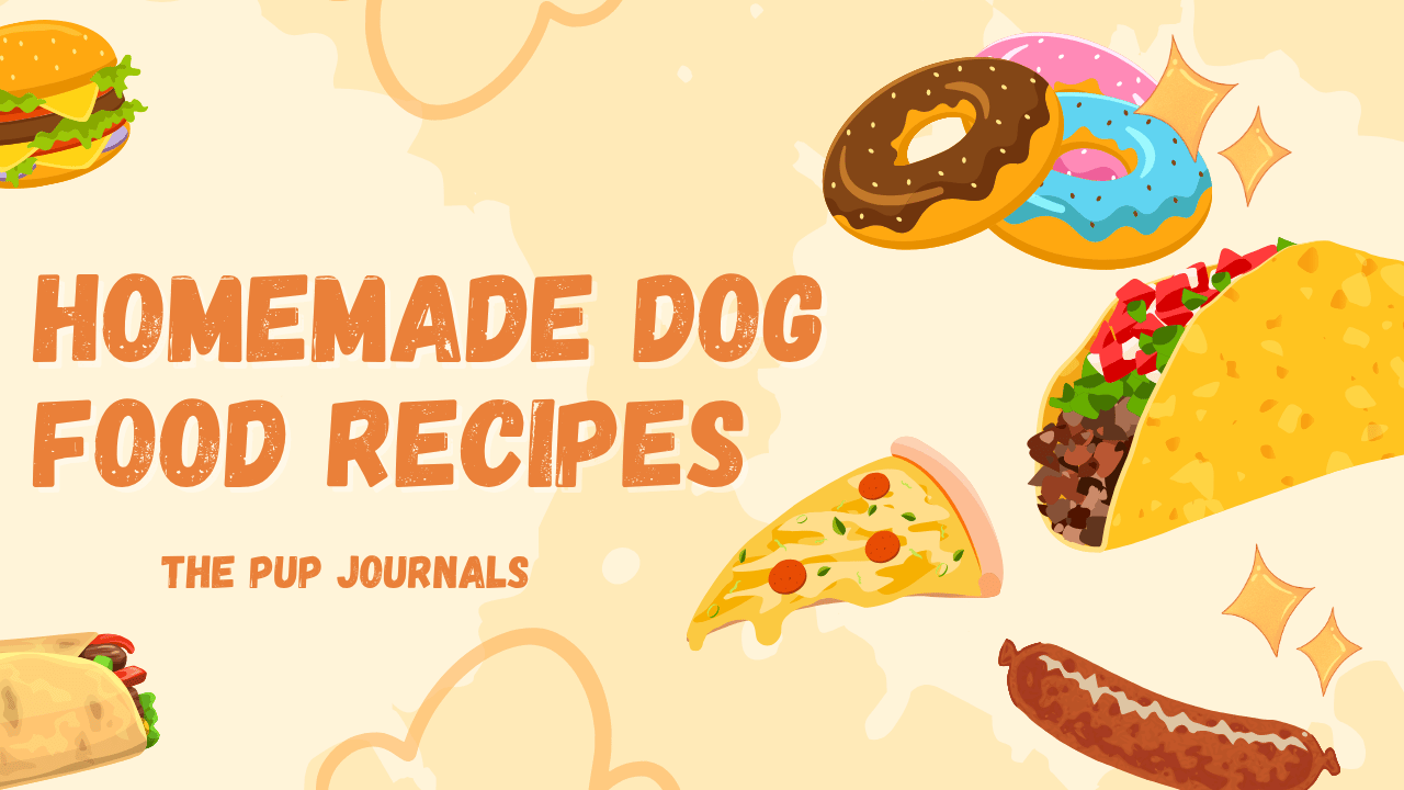 Homemade Dog Food Recipes