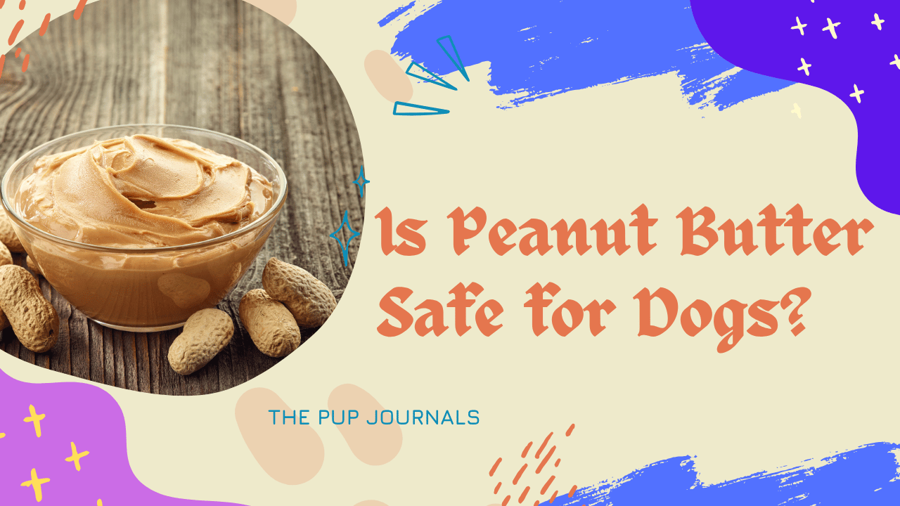 Is Peanut Butter Safe for Dogs?