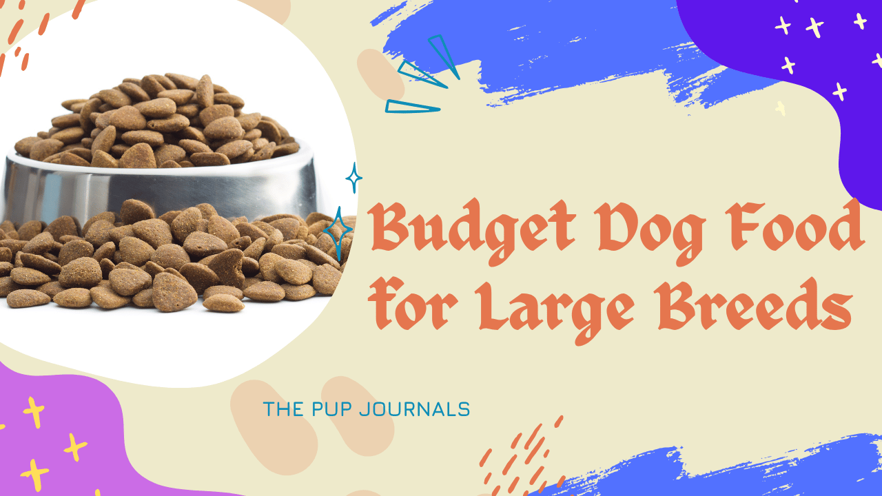 Budget Dog Food for Large Breeds