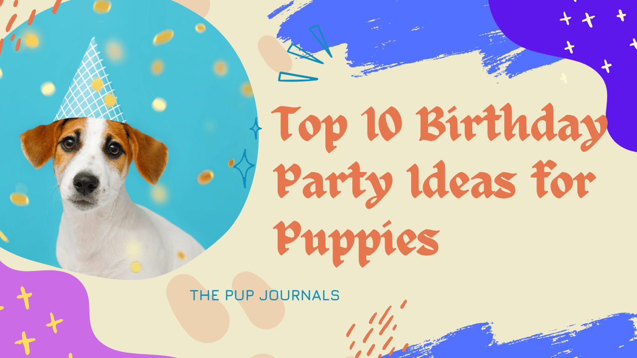 Birthday Party Ideas for Puppies